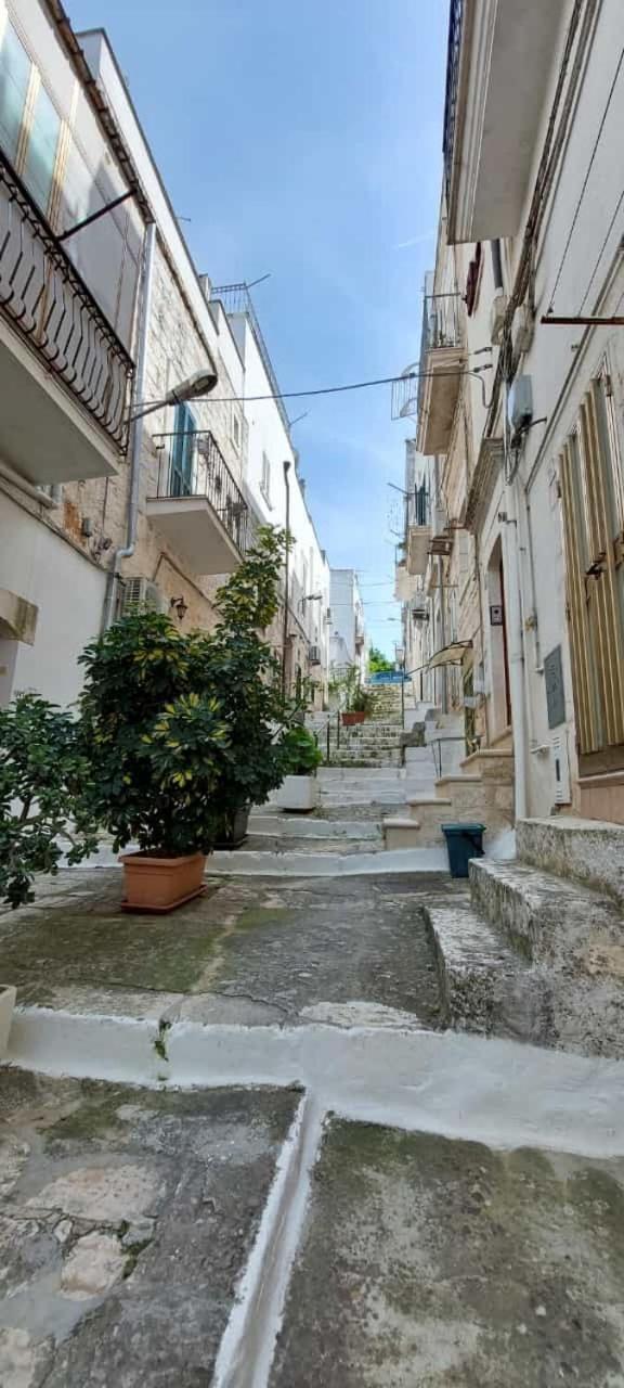 Vico Anglani Guest House Ostuni Dış mekan fotoğraf