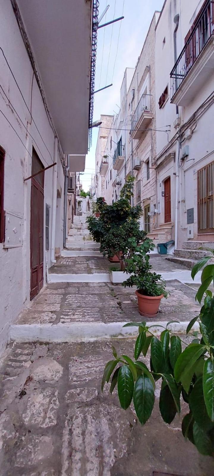 Vico Anglani Guest House Ostuni Dış mekan fotoğraf